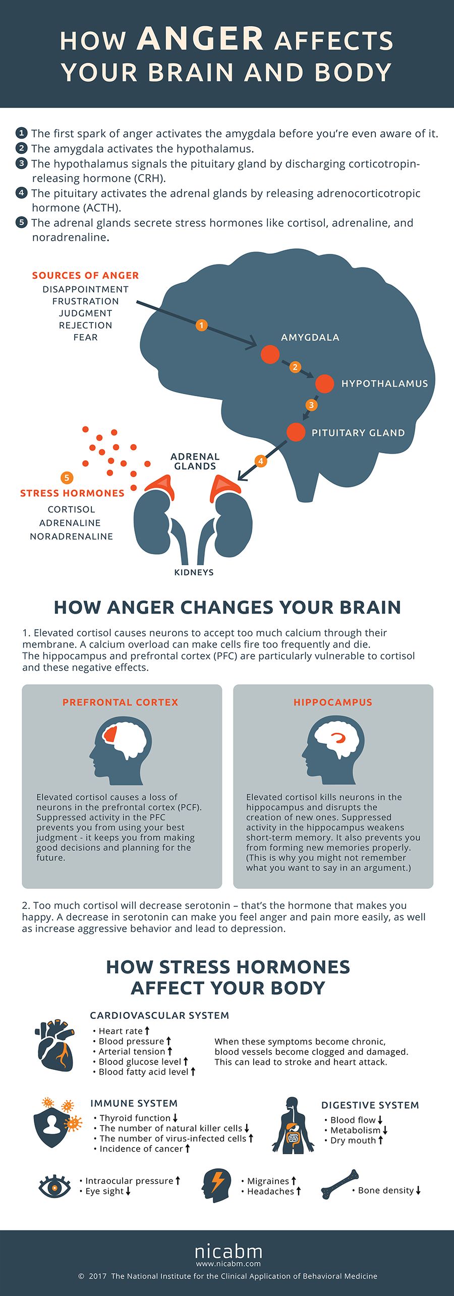 Effects of Anger