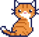 Hero cat